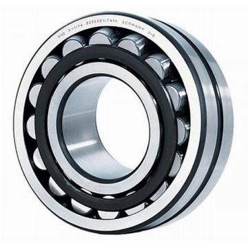 113SS BCA New Single Row Ball Bearing